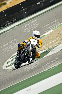 media/Oct-25-2025-2WTD (Sat) [[1e4a1f2fa2]]/B Group/Session 5 (Turn 2)/